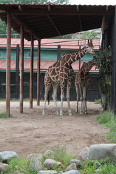 Similar image 21698718