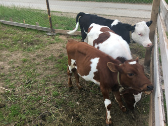 Similar image 21698786