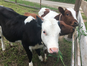 Similar image 21698787