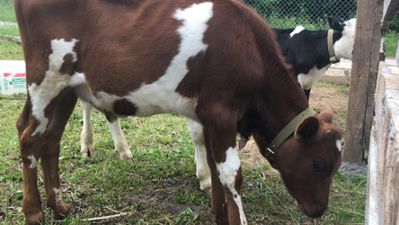 Similar image 21698788