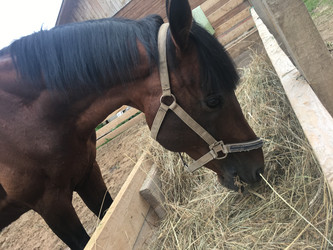 Similar image 21698789