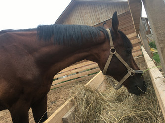 Similar image 21698790