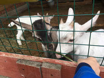 Similar image 21698804