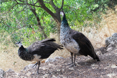 Similar image 21698806