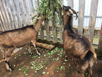 Similar image 21698807