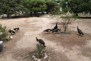 Similar image 21698808