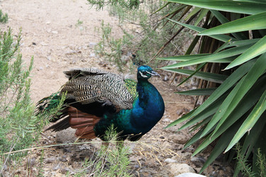 Similar image 21699039