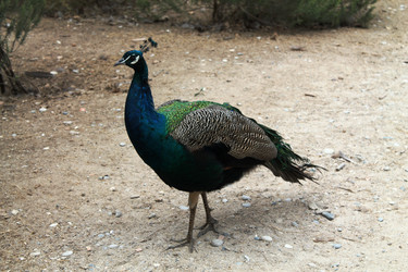 Similar image 21699040