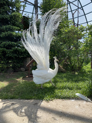 Similar image 21699797