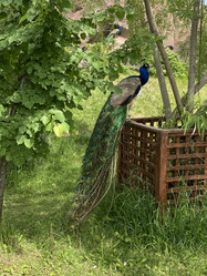 Similar image 21699798