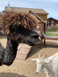 Similar image 21699799