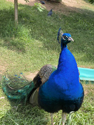 Similar image 21699800