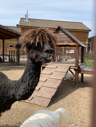 Similar image 21699801