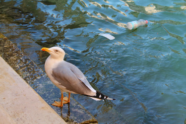 Similar image 21699802