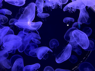 Similar image 21699803