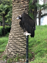 Similar image 21699804