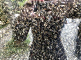 Similar image 21699806