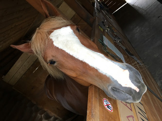 Similar image 21699807