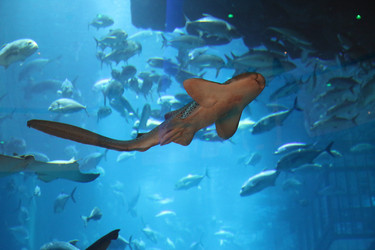 Similar image 21699809