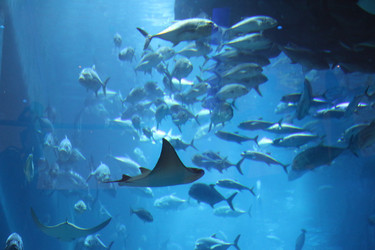 Similar image 21699810