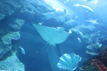 Similar image 21699811