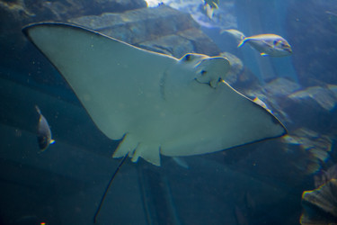 Similar image 21699812