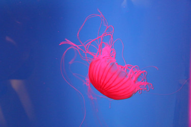 Similar image 21699815