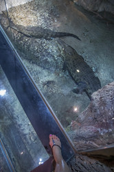 Similar image 21699819