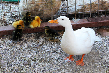 Similar image 21698605