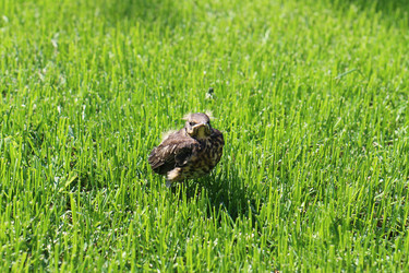 Similar image 21698607