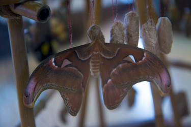 Similar image 21698608