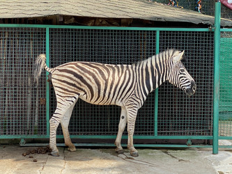 Similar image 21698610