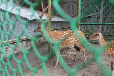 Similar image 21698614