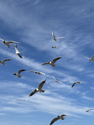 Similar image 21698616