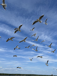 Similar image 21698617