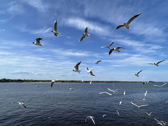 Similar image 21698618