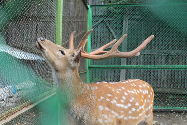 Similar image 21698619