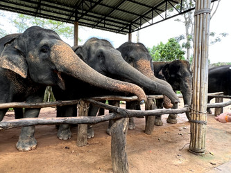 Similar image 21698719