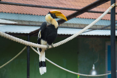 Similar image 21698720