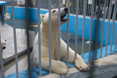 Similar image 21698721