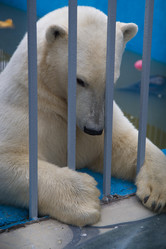 Similar image 21698722