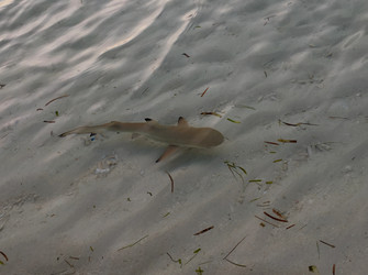 Similar image 21698723