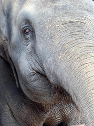 Similar image 21698724