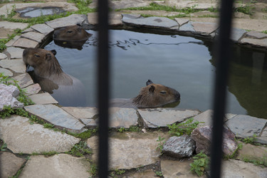 Similar image 21698739