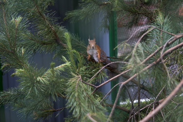 Similar image 21698741