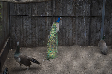 Similar image 21698742