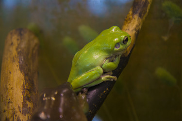 Similar image 21698743