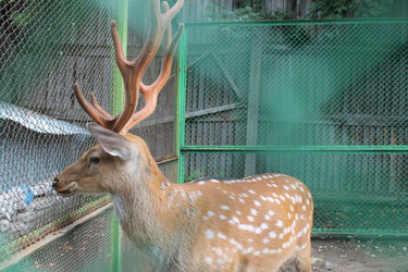 Similar image 21698744