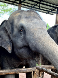 Similar image 21698745