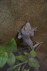 Similar image 21698747